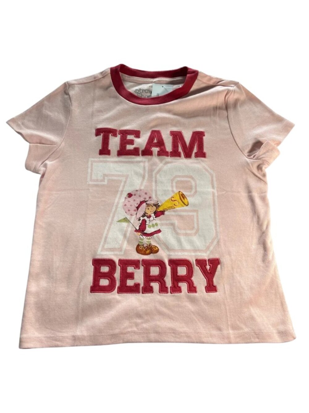 Strawberry Shortcake Team Berry T-Shirt by Vinyl Icons